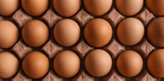 Jakie są korzyści spożywania jaj z wolnego wybiegu?