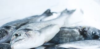 Jakie są różnice między mięsem i rybami ekologicznymi a konwencjonalnymi?