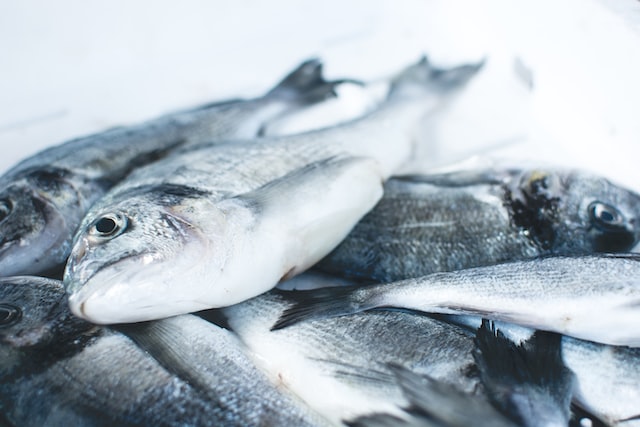 Jakie są różnice między mięsem i rybami ekologicznymi a konwencjonalnymi?