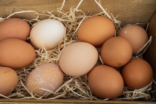 Różnice w smaku i jakości jaj zależnie od sposobu hodowli