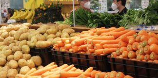 5 powodów, dla których produkty wegańskie ekologiczne są korzystne dla zdrowia