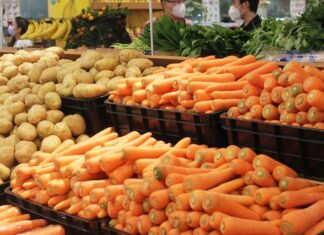 5 powodów, dla których produkty wegańskie ekologiczne są korzystne dla zdrowia
