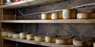 Jakie są najlepsze sposoby na przechowywanie ekologicznego mleka i sera w domu
