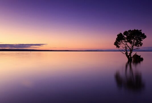 Kiedy używać wody toaletowej?