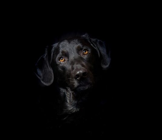 Dlaczego hybryda ściera się na końcach?